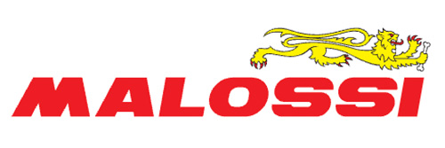 Malossi logo